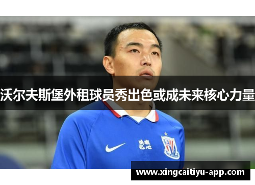 沃尔夫斯堡外租球员秀出色或成未来核心力量